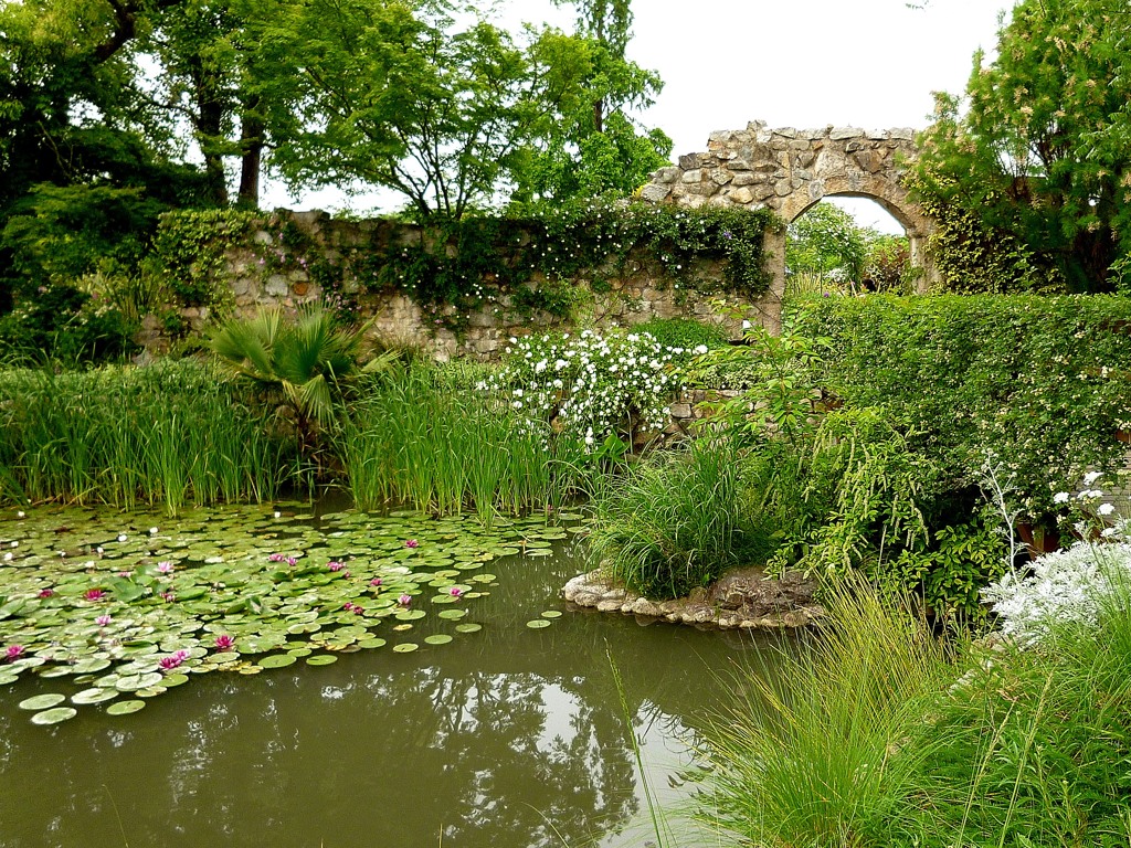 睡蓮の庭園