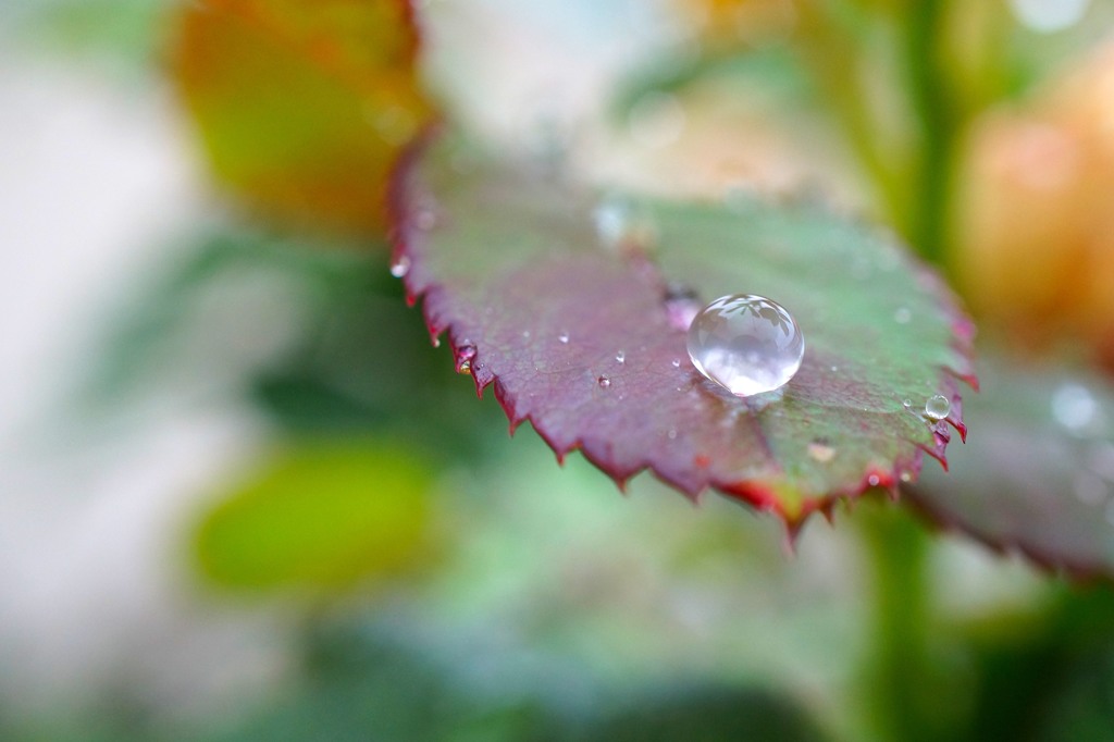 雨の日に