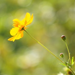 秋の光に包まれて