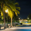 夜の南国公園