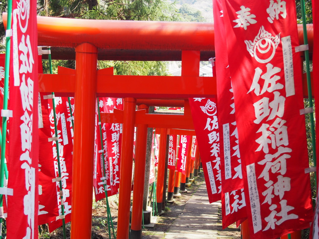 佐助稲荷
