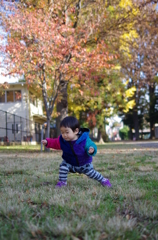 IMGP0551