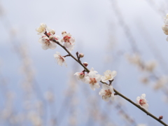 空に向かって