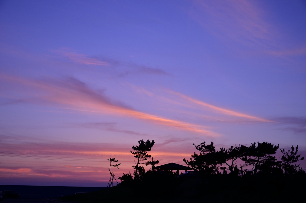 晩夏