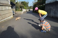 どこいくの？