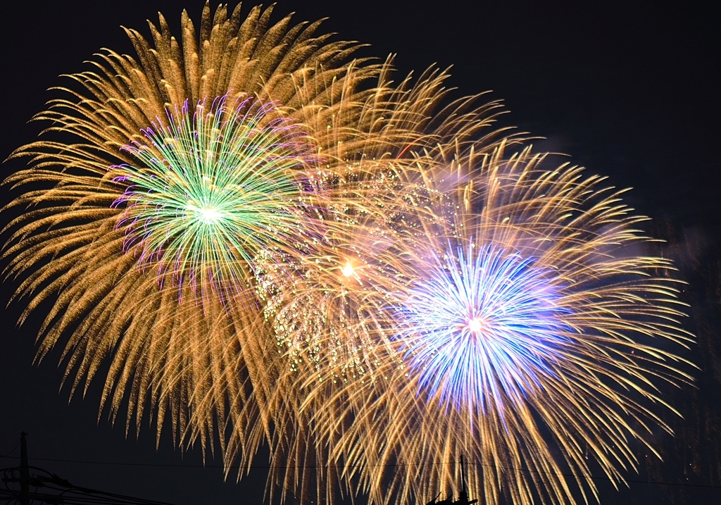 真夏の夜の花