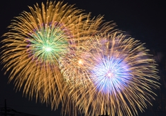 真夏の夜の花