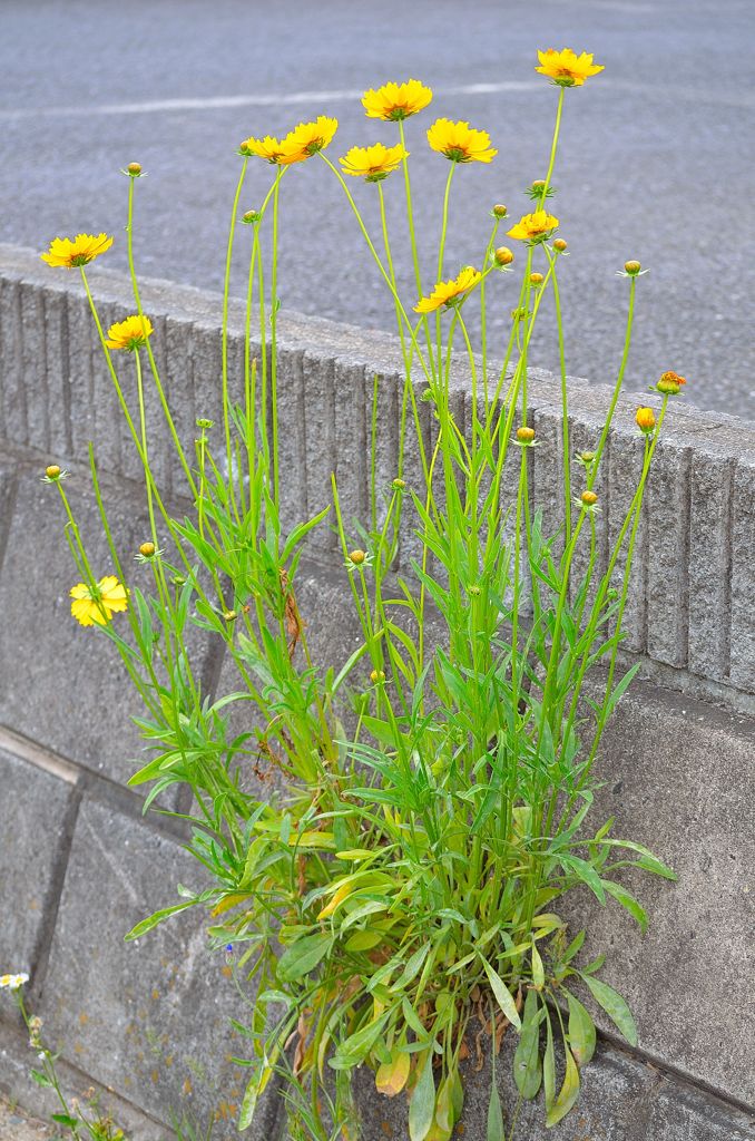 自然の力