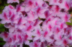 CSC_1022
