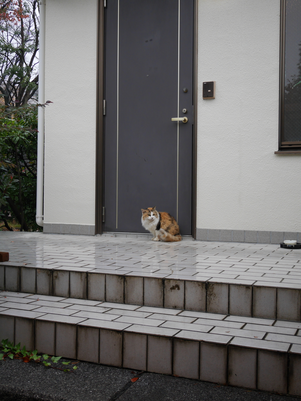 「行ってらっしゃい」