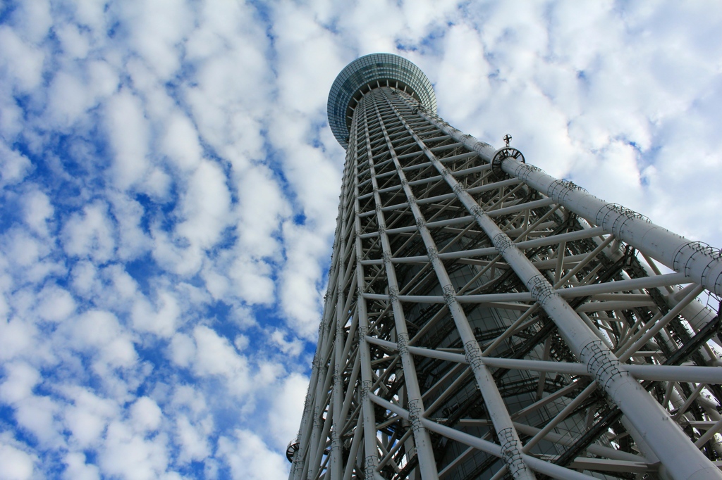 白銀の矢
