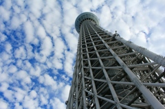 白銀の矢
