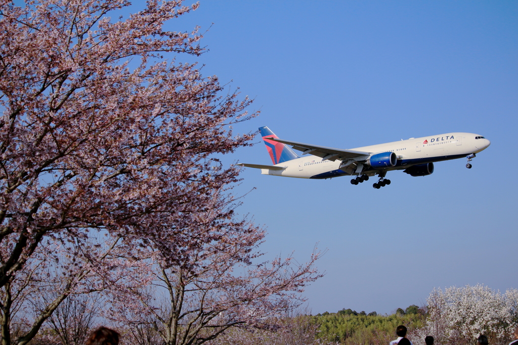 旅立ちの季節