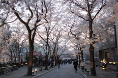 夕暮れ時の祇園白川