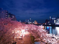 夜の天満橋