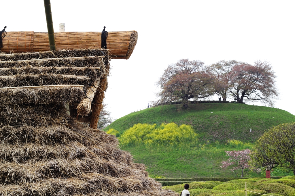さきたま古墳公園（No4）