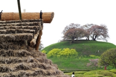 さきたま古墳公園（No4）