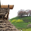 さきたま古墳公園（No4）