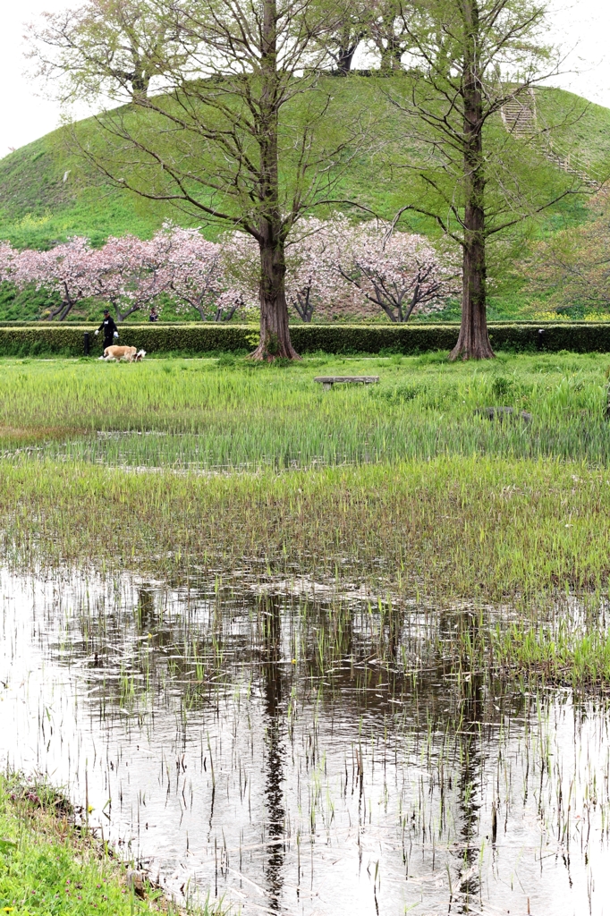 さきたま古墳公園