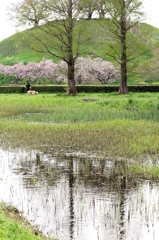 さきたま古墳公園