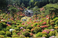 塩船観音寺つつじ祭り