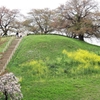 さきたま古墳公園（No2)