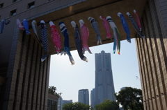 鯉のぼりとランドマークタワー