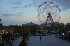夕方のみなとみらい