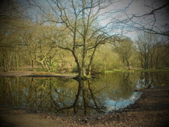 DSCF0542