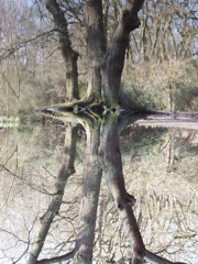 DSCF0547