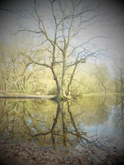 DSCF0543