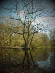 DSCF0544