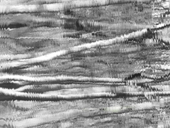 DSCF0558