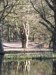 DSCF0562