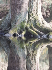 DSCF0546
