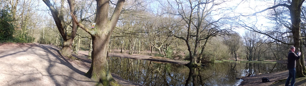 DSCF0540