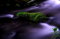 清流