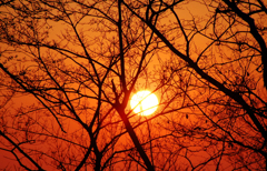 染まる夕空