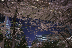 ビルの間で