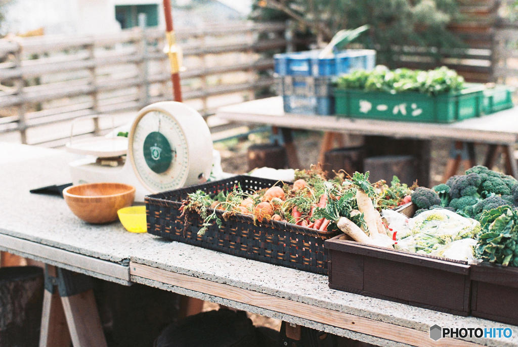 Farm Market