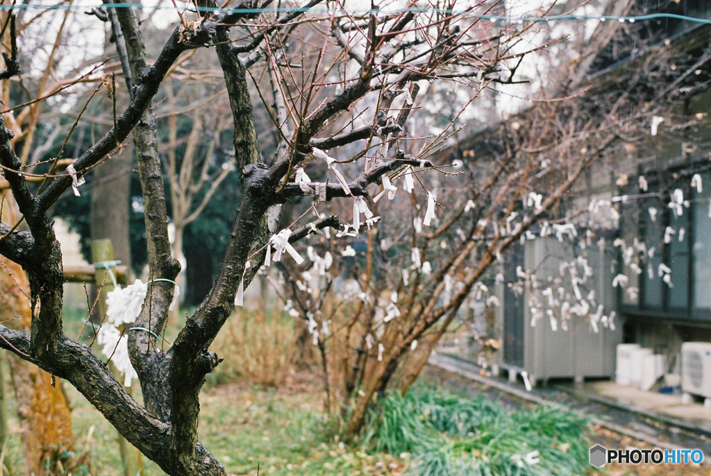 祈り　２