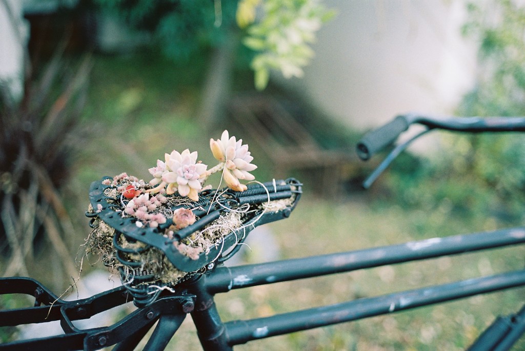 garden shop