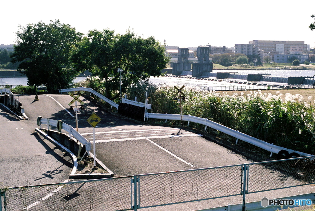 河川敷の景色