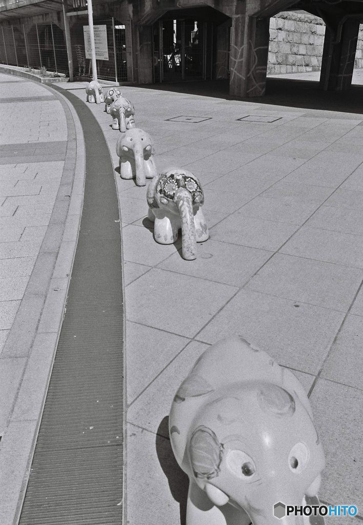 monochrome yokohama ３