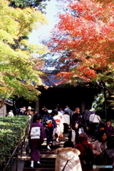 円覚寺の秋
