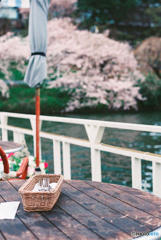 桜の見えるテラス席