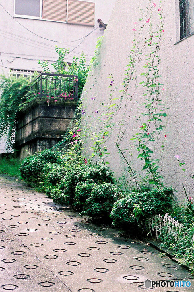 Greeen