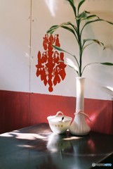 午後の紅茶