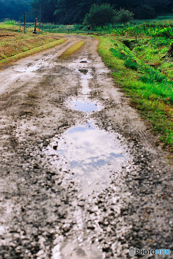 散歩道　２