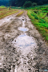 散歩道　２